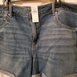 American Eagle Shorts SZ 20